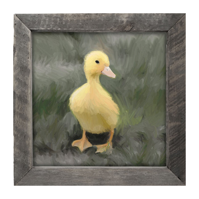 Baby duck