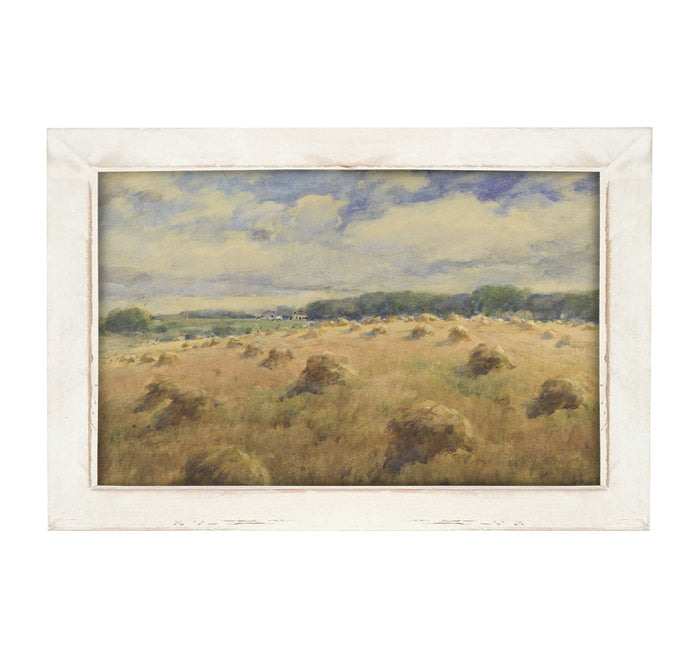 Hay fields