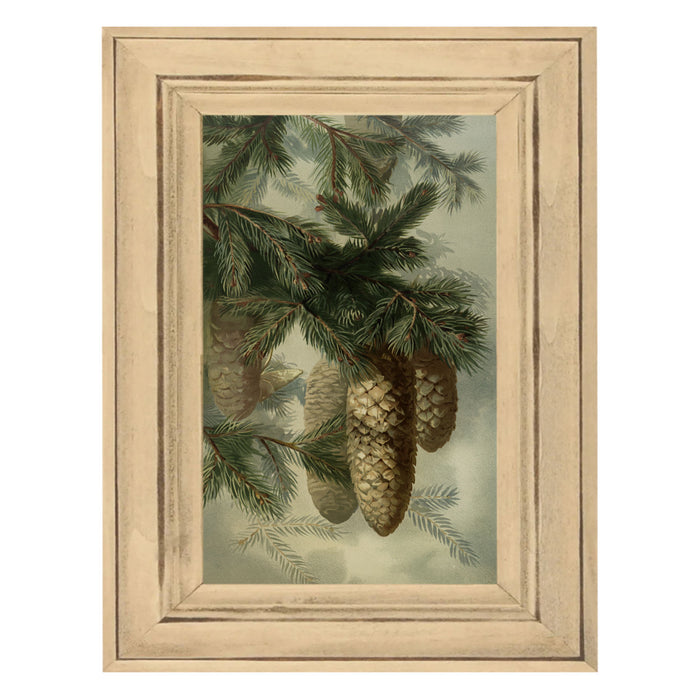 Vintage Pine cones