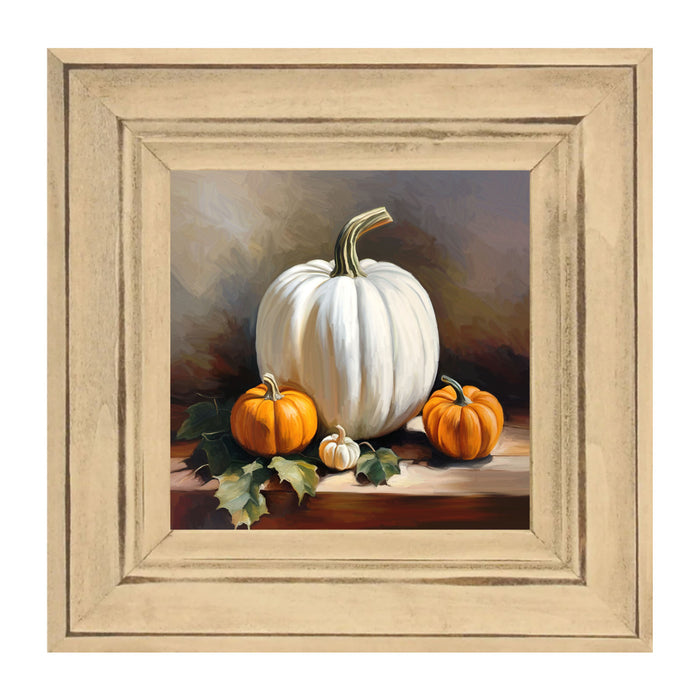 white pumpkin with orange pumpkins