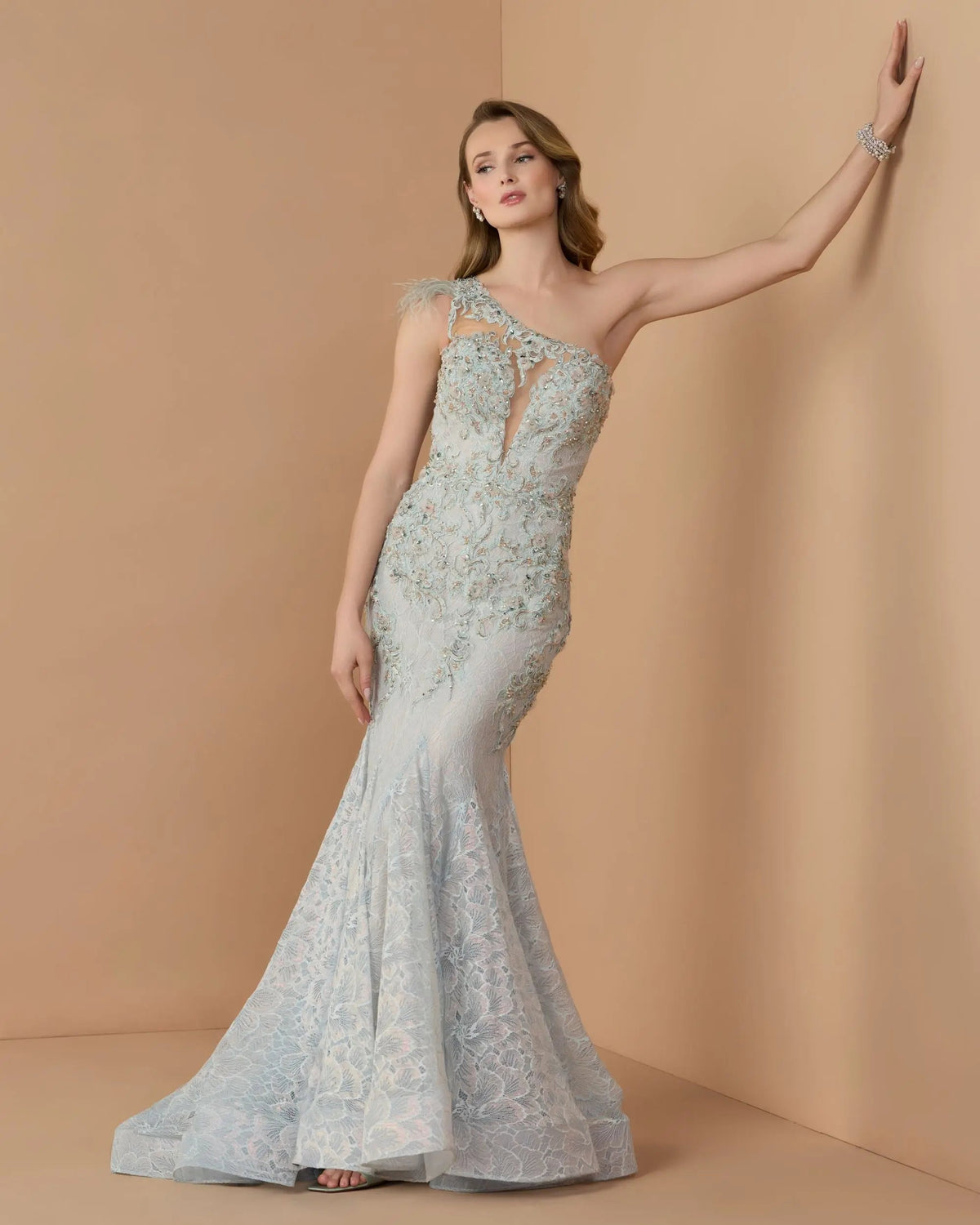 Embroidered Applique Feathered One Shoulder Trumpet Gown