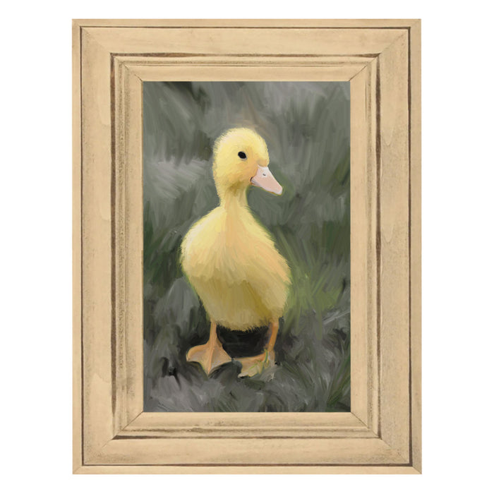 Baby duck