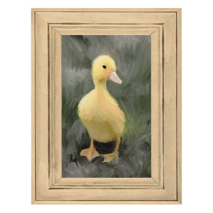 Baby duck