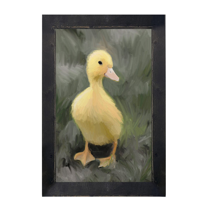 Baby duck