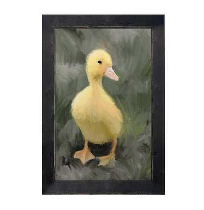 Baby duck