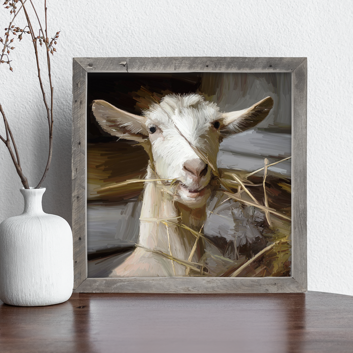 Goat Eating Grass
