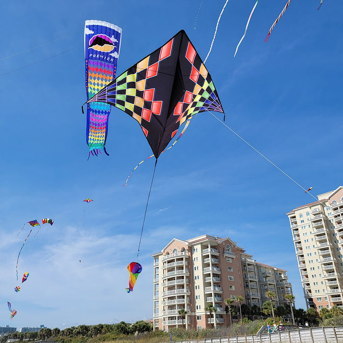 Gyro Delta Kite - Rainbow Checks