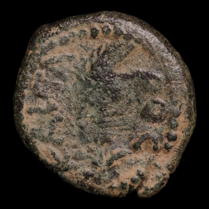 Judaea, Marcus Ambibulus Under Augustus, AE Prutah, Jerusalem Mint - 24 CE - Ancient Judea
