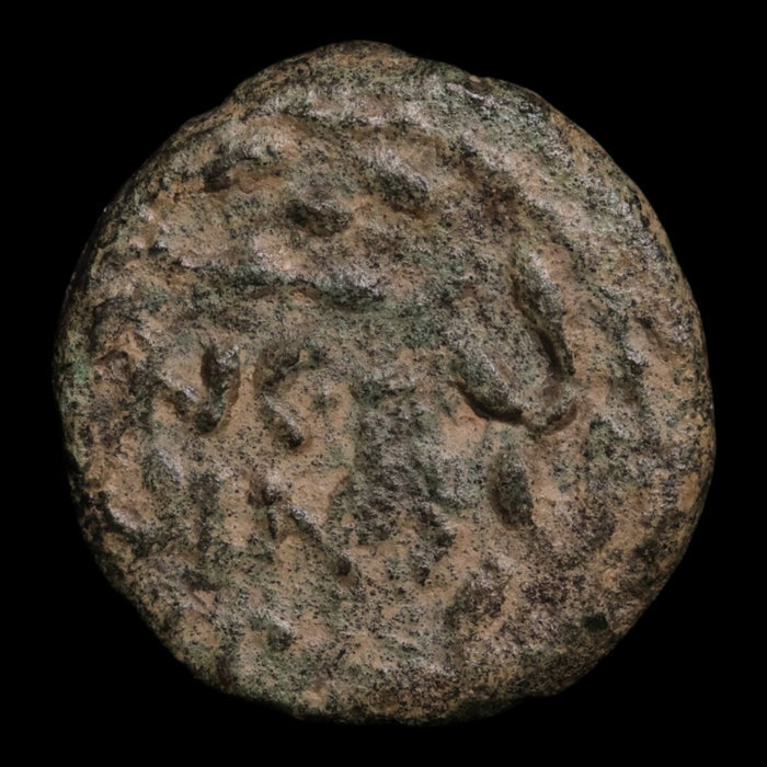 Judaea, Porcius Festus Under Nero, AE Prutah, Jerusalem Mint - 59 CE - Ancient Judea
