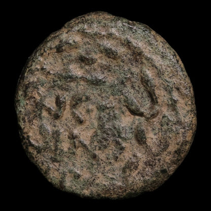 Judaea, Porcius Festus Under Nero, AE Prutah, Jerusalem Mint - 59 CE - Ancient Judea