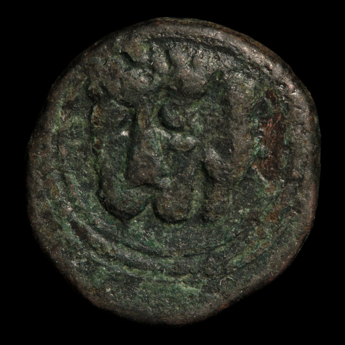 Kingdom of Sicily, William II, 1 Follaro (Lion's Head) - 1166 to 1189 CE - Italian States