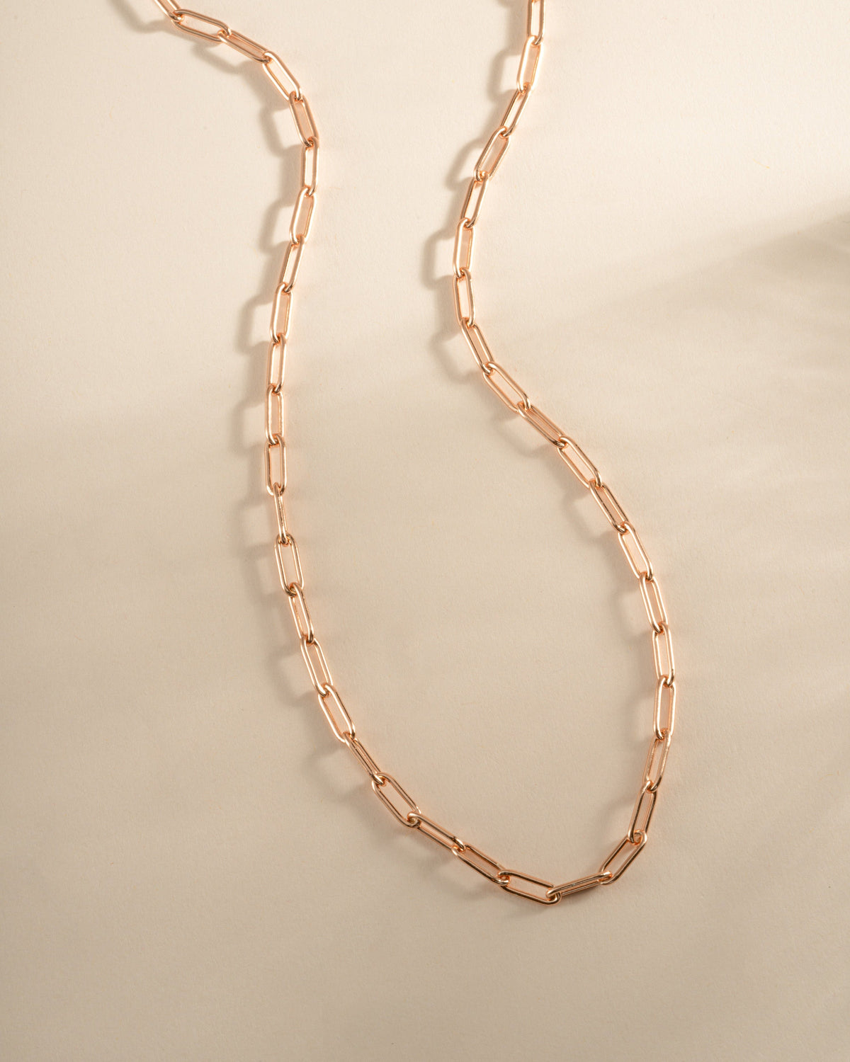 Paperclip Necklace