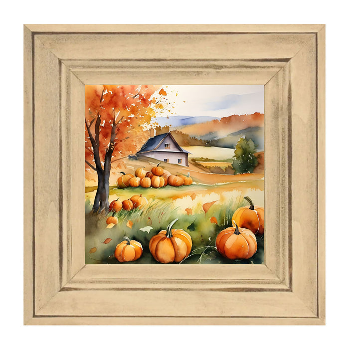 Pumpkin field