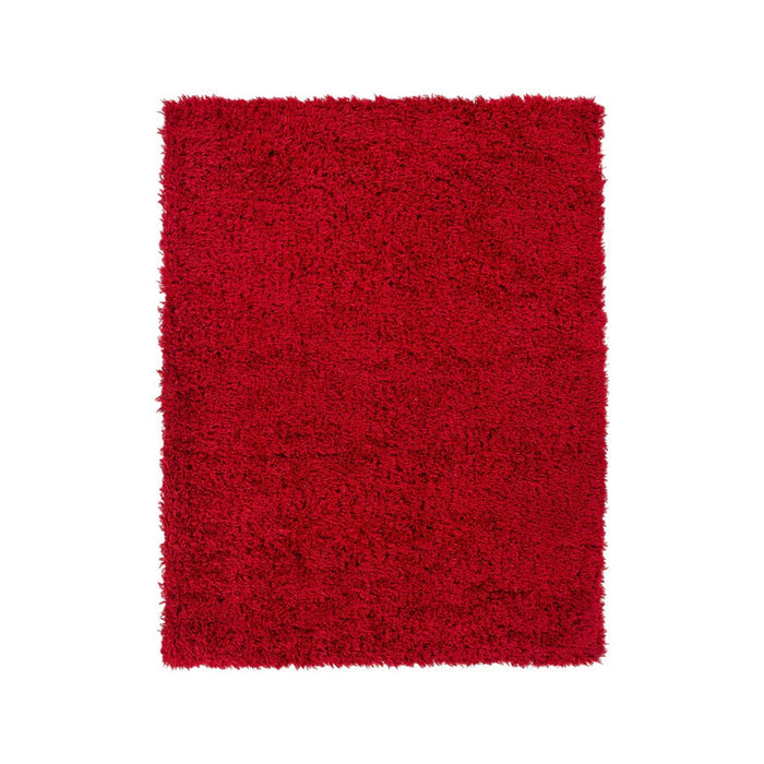 Red Shag Rug