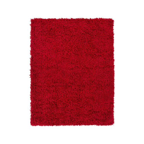 Red Shag Rug