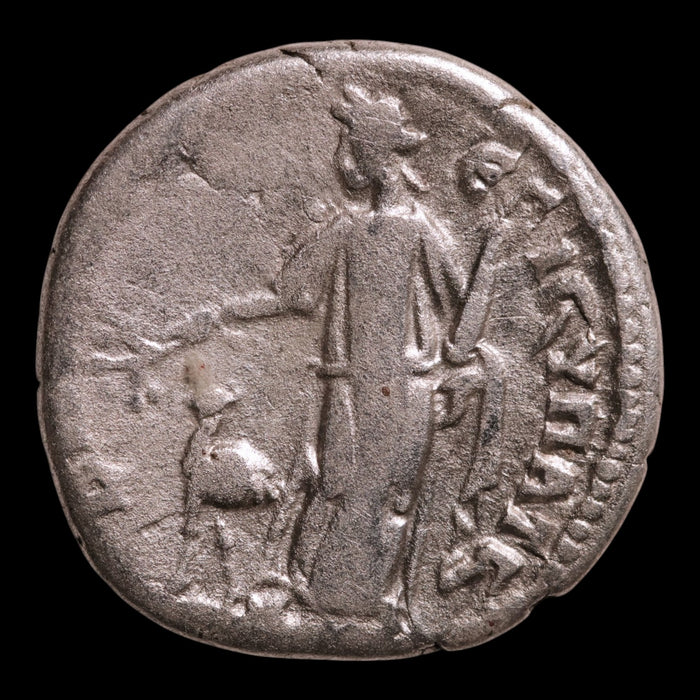 Roman Arabia, Emperor Trajan, AE Unit, Arabia & Camel Reverse - 112 CE - Roman Provinces