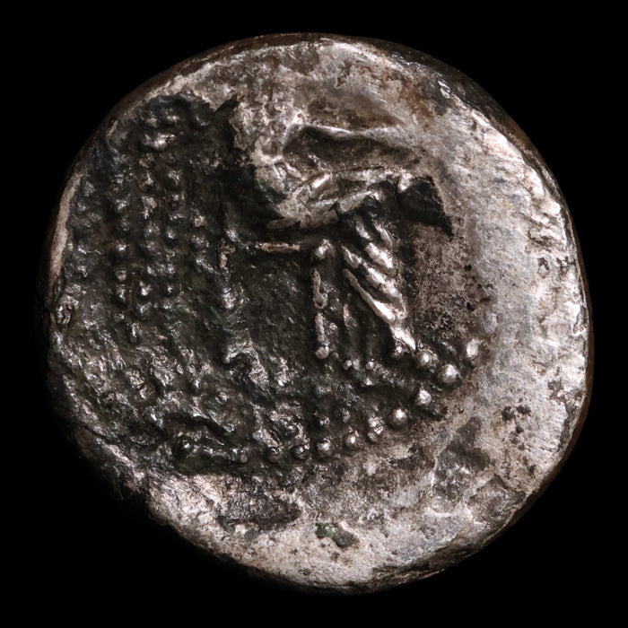 Roman Republic, M. Porcius Cato, AR Quinarius, Liber (God of Wine) - 89 BCE - Roman Republic