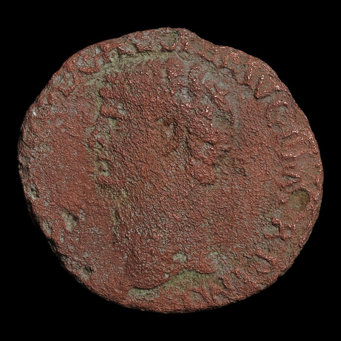 Rome, Emperor Claudius, AE As, Minerva (Goddess of Wisdom) - 50 to 54 CE - Roman Empire