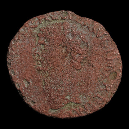 Rome, Emperor Claudius, AE As, Minerva (Goddess of Wisdom) - 50 to 54 CE - Roman Empire