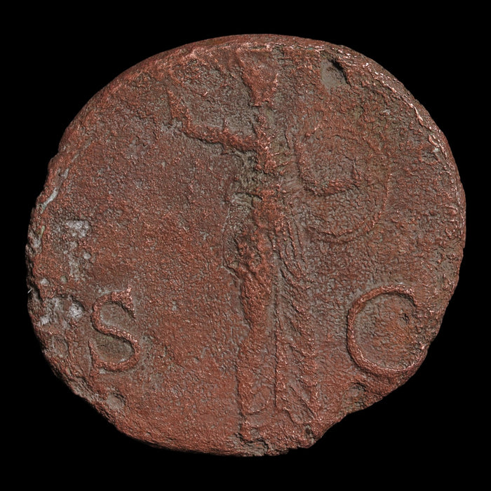 Rome, Emperor Claudius, AE As, Minerva (Goddess of Wisdom) - 50 to 54 CE - Roman Empire