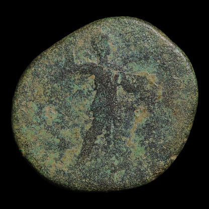 Rome, Emperor Claudius (Fourth Roman Emperor), AE As, Minerva (Goddess of Wisdom) - 50 to 54 CE - Roman Empire