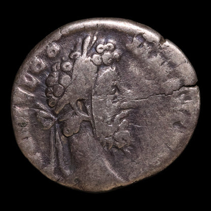 Rome, Emperor Commodus, AR Denarius, Fides Militum Reverse - 192 CE - Roman Empire