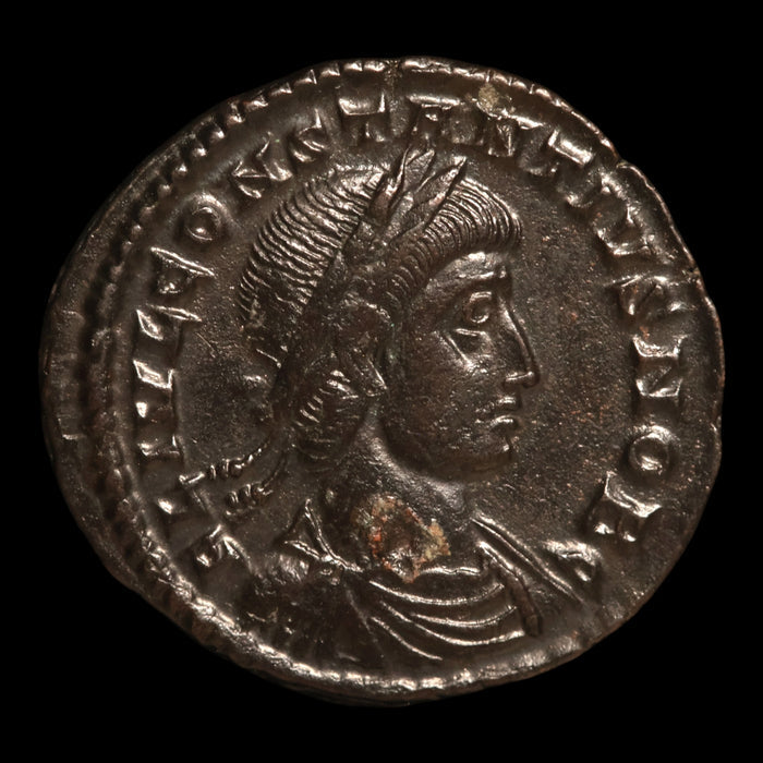 Rome, Emperor Constantius II, AE3, Two Soldiers Reverse - 333 to 335 CE - Roman Empire