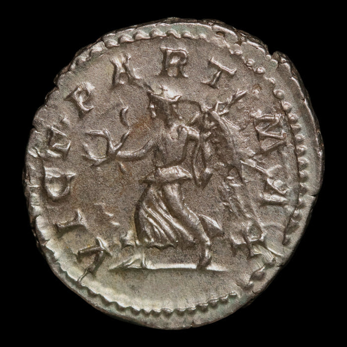 Rome, Emperor Septimius Severus, AR Denarius, Victory Reverse - 202 to 210 CE - Roman Empire