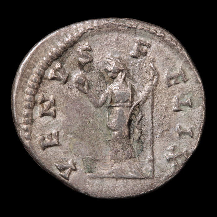 Rome, Empress Julia Domna, Denarius, Venus Reverse - 196 to 202 CE - Roman Empire