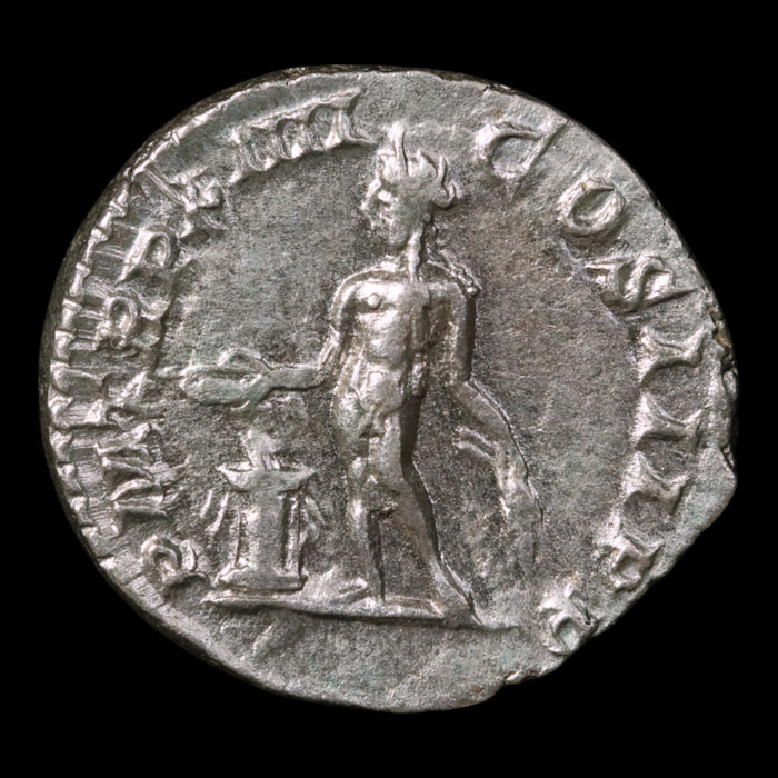 Rome, Septimius Severus, Denarius, Genius Reverse - 206 CE - Roman Empire