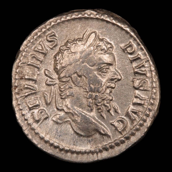 Rome, Septimius Severus, Denarius, Salus Reverse - 210 CE - Roman Empire