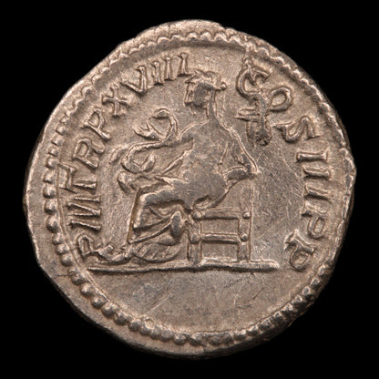 Rome, Septimius Severus, Denarius, Salus Reverse - 210 CE - Roman Empire