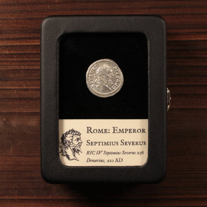 Rome, Septimius Severus, Denarius, Salus Reverse - 210 CE - Roman Empire
