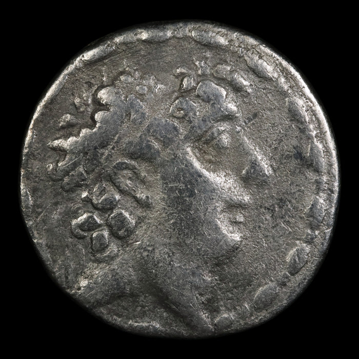 Seleucid Empire, Philip I Philadelphus, Silver Tetradrachm - 95 to 75 BCE - Greek World