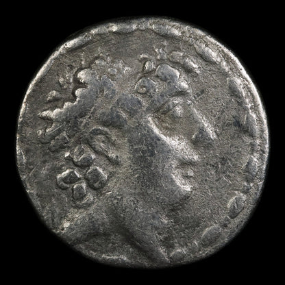 Seleucid Empire, Philip I Philadelphus, Silver Tetradrachm - 95 to 75 BCE - Greek World