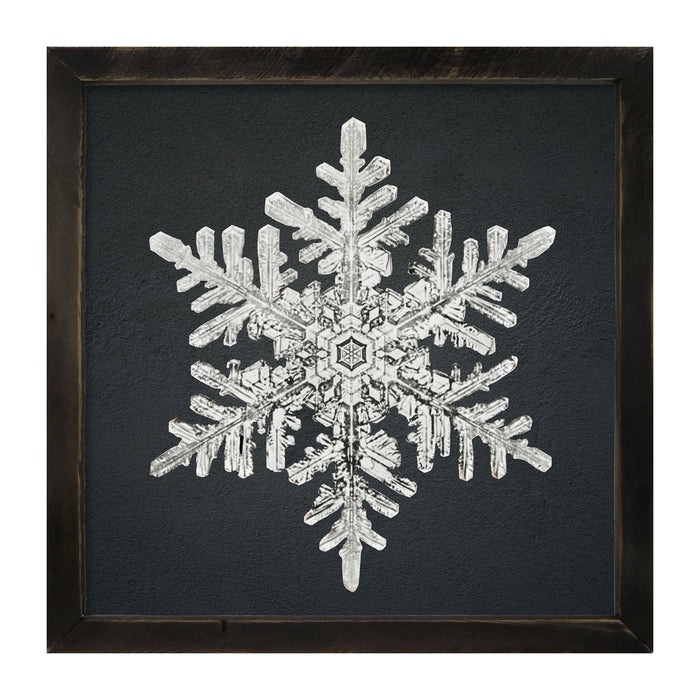 Snowflake-B