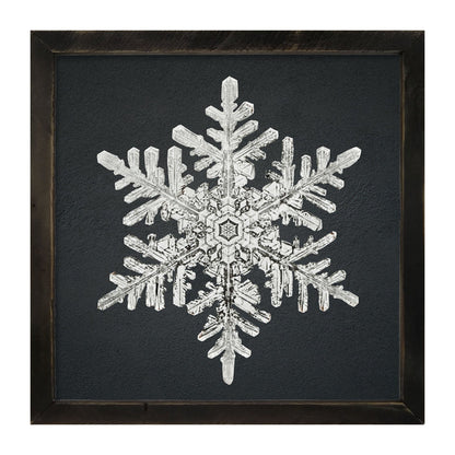 Snowflake-B