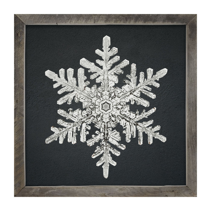 Snowflake-B