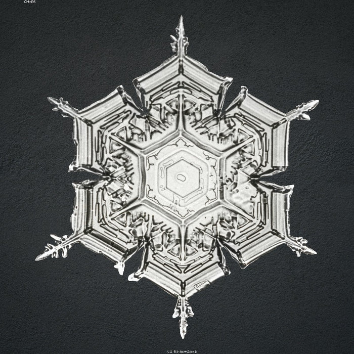 without_frame_square