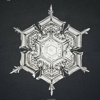 without_frame_square