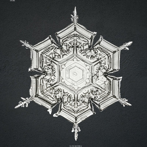 without_frame_square