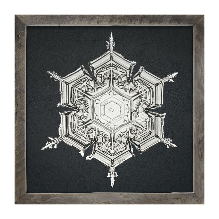 Snowflake-E