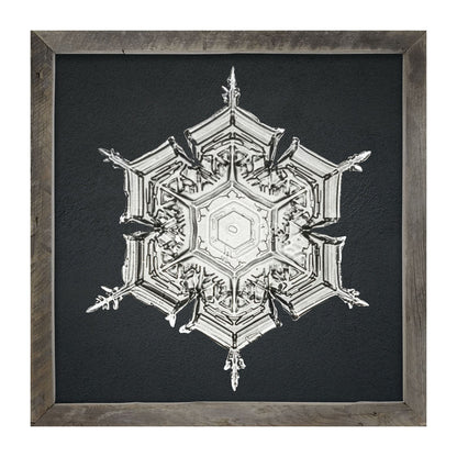 Snowflake-E