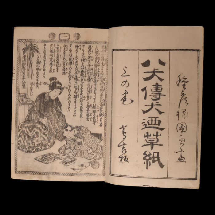The Illustrated Legend of the Eight Dogs (Vol 13 & 14) - Meiji 3 (1870) - Meiji Japan